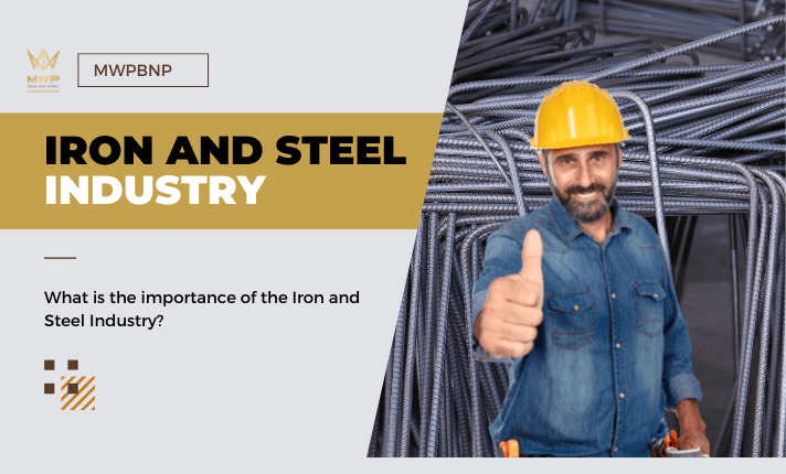 What is the importance of the Iron and Steel Industry